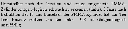 Textfeld: Unmittelbar nach der Oeration sind einige eingesetzte PMMA-Zylinder rntgenologisch schwach zu erkennen (links). 3 Jahre nach Extraktion des I1 und Einsetzen der PMMA-Zylinder hat das Tier  kein Rezidiv erlitten und der linke  UK ist rntgenologisch unauffllig 