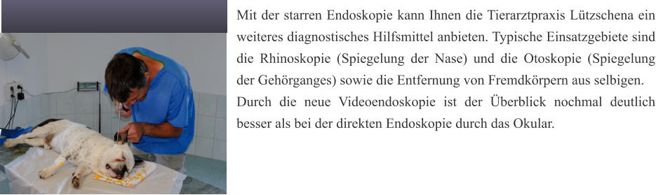 Mit der starren Endoskopie kann Ihnen die Tierarztpraxis Ltzschena ein weiteres diagnostisches Hilfsmittel anbieten. Typische Einsatzgebiete sind die Rhinoskopie (Spiegelung der Nase) und die Otoskopie (Spiegelung der Gehrganges) sowie die Entfernung von Fremdkrpern aus selbigen.   Durch die neue Videoendoskopie ist der berblick nochmal deutlich besser als bei der direkten Endoskopie durch das Okular.